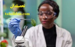 دروس و ضرایب دروس ارشد زیست شناسی گیاهی